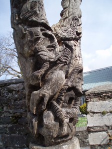 Dingle - Trinity Tree